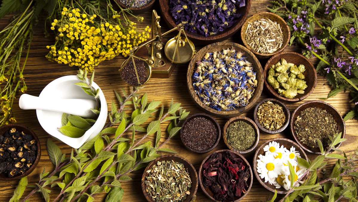 Herbal treatment, medical herbalist in West London Hammersmith